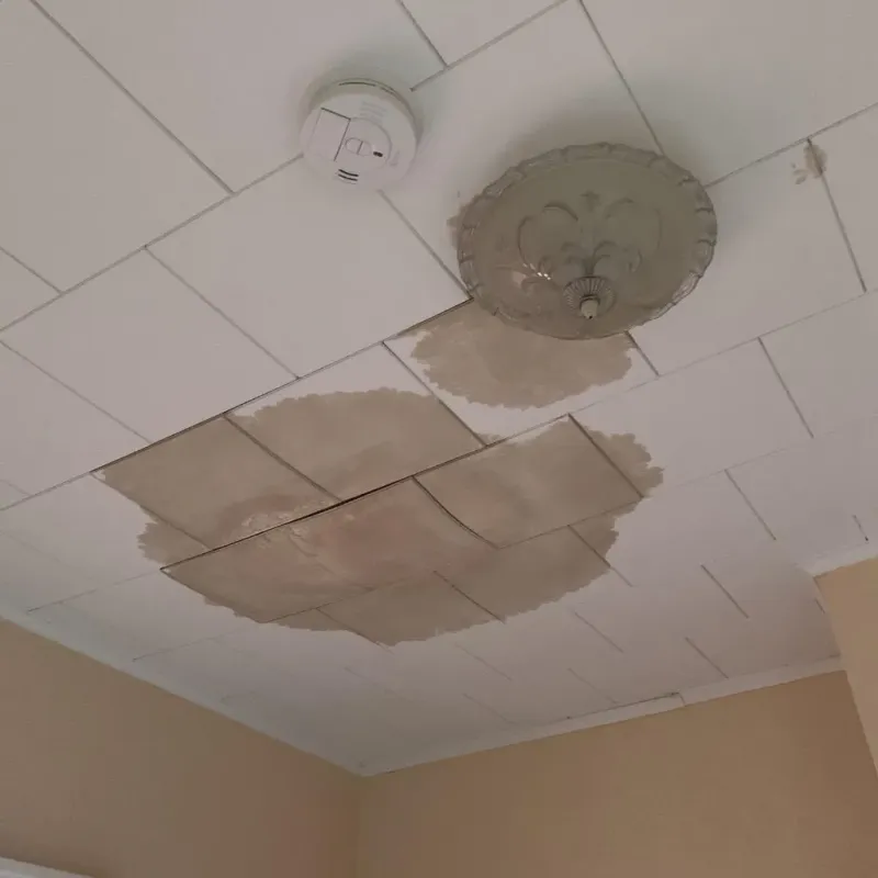 Ceiling Water Damage Repair in Lakefield, MN